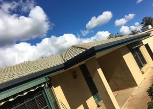 Gutter replacement_Green